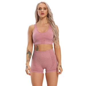 Women Seamless yoga set Fitness Sports Suits workout set gym at home sport bra gym top woman High Waist spandex shorts athletic