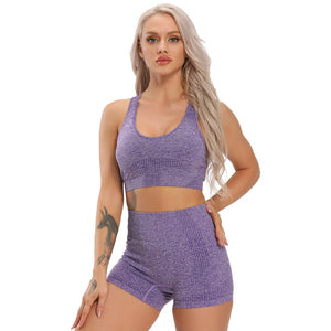 Women Seamless yoga set Fitness Sports Suits workout set gym at home sport bra gym top woman High Waist spandex shorts athletic