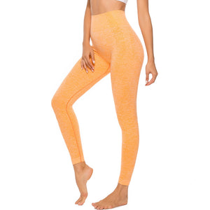 RealFitz High Waist Seamless Women’s Leggings