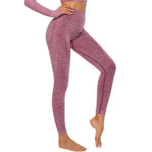 RealFitz High Waist Seamless Women’s Leggings